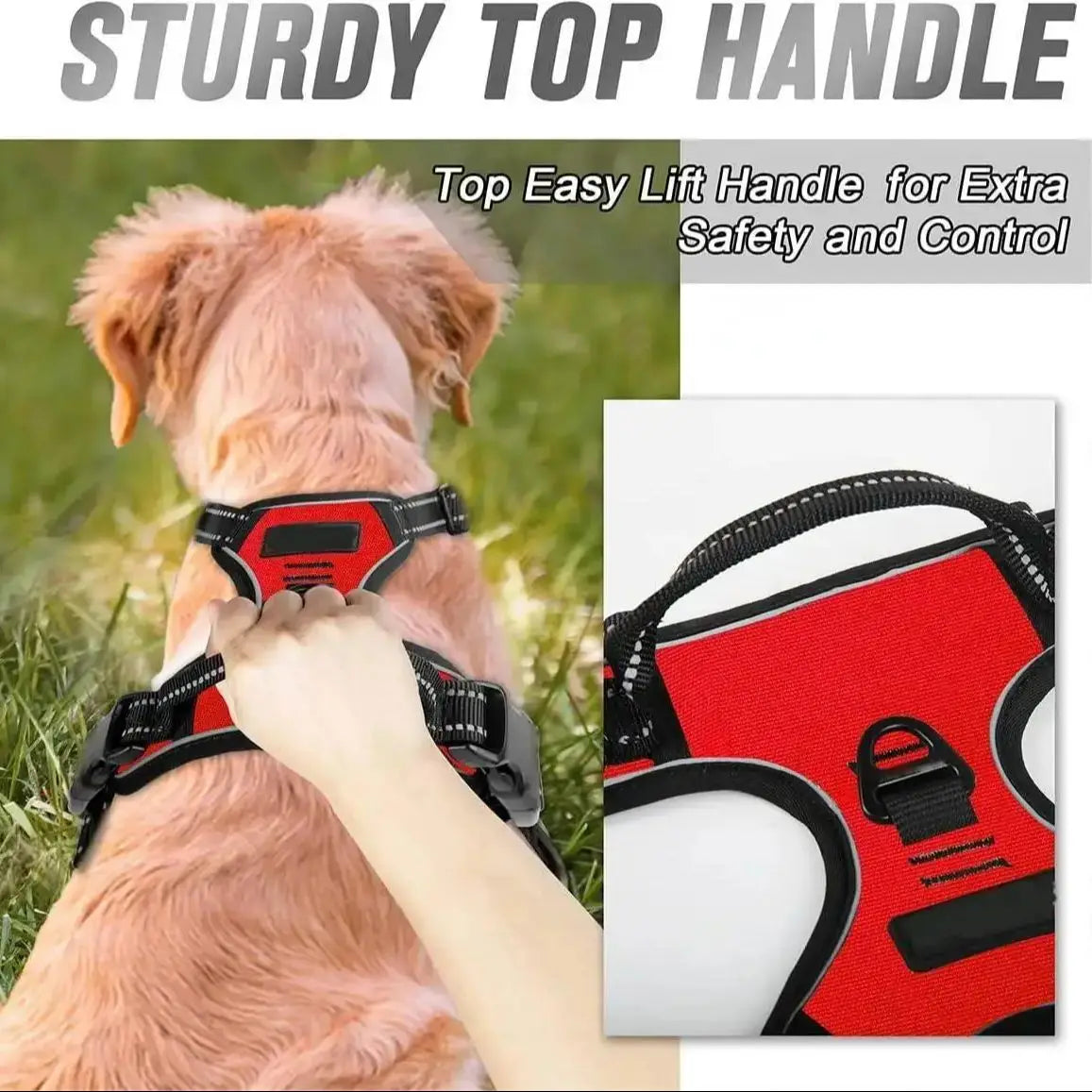 Zoomie Pawz No Pull, Dog harness