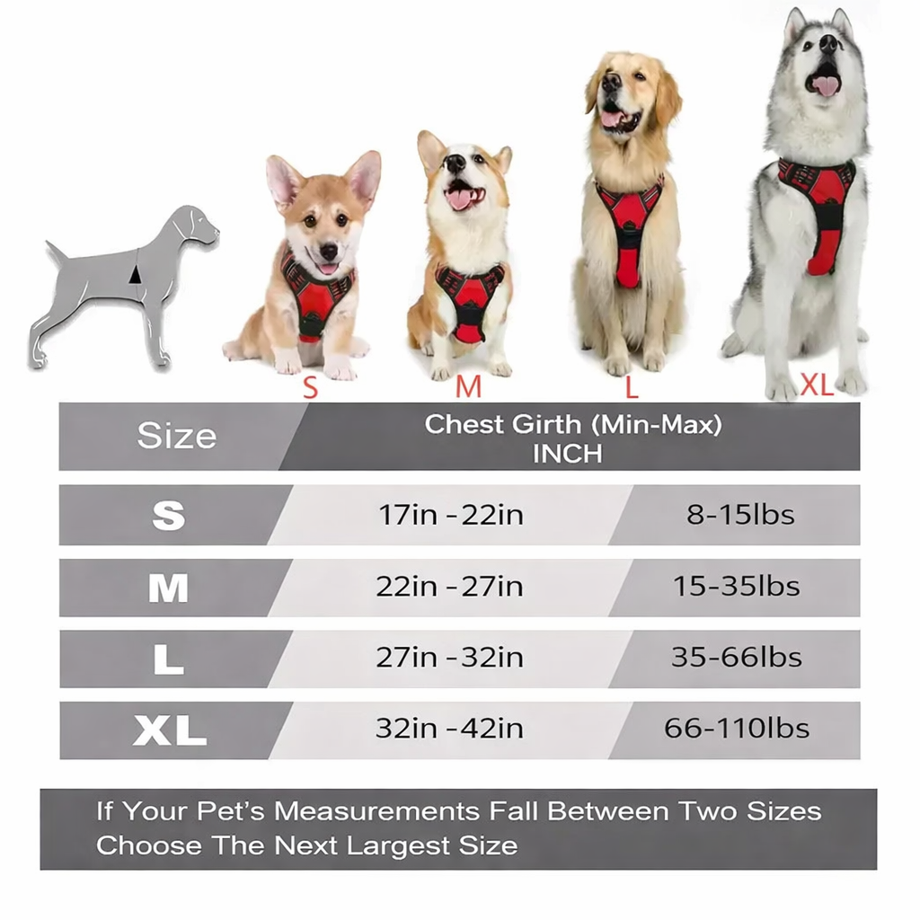 Zoomie Pawz No Pull, Dog harness