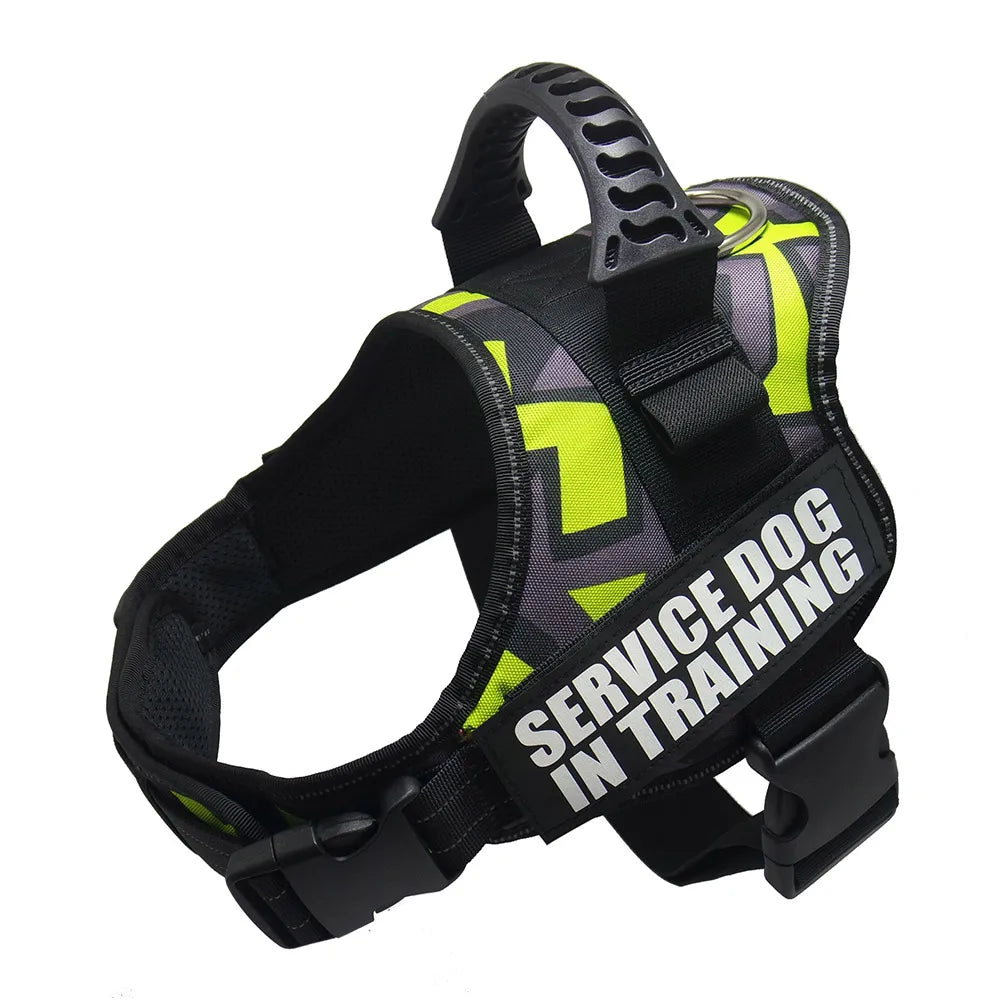 Zoomie Pawz Service dog training harness