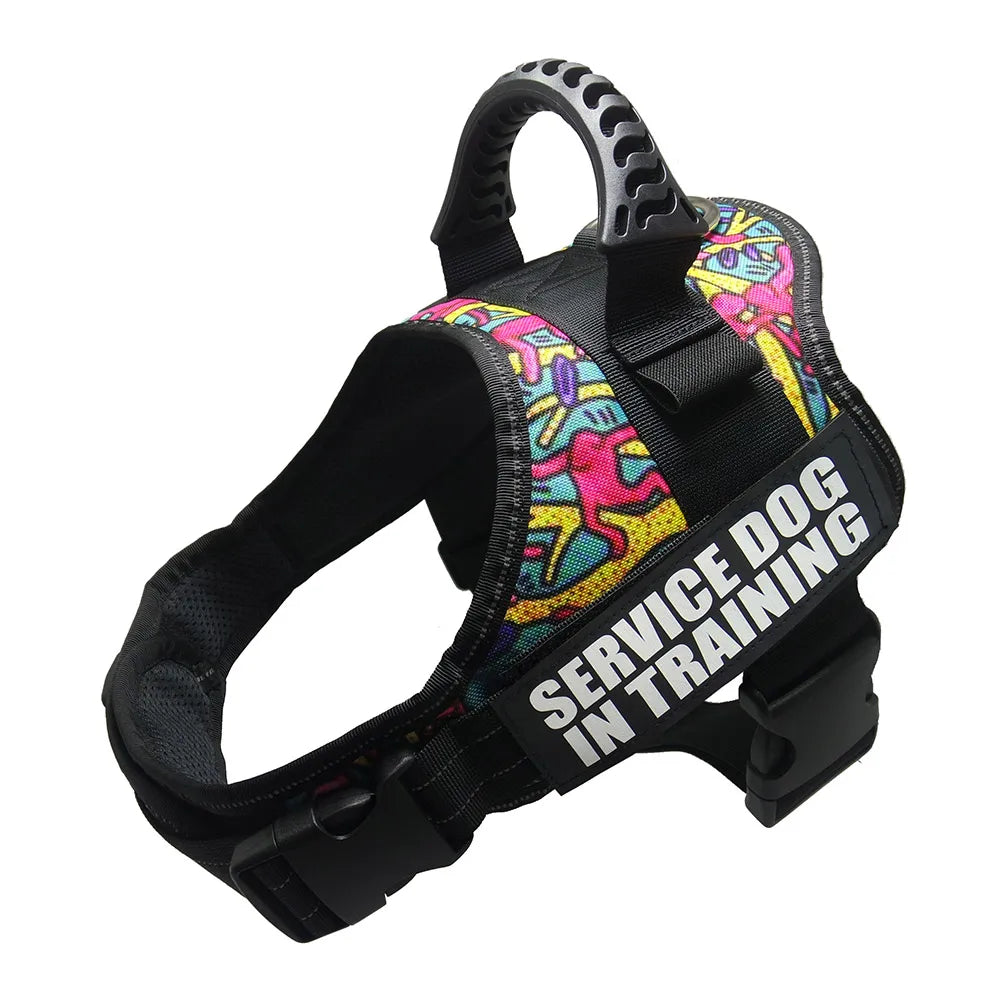 Zoomie Pawz Service dog training harness