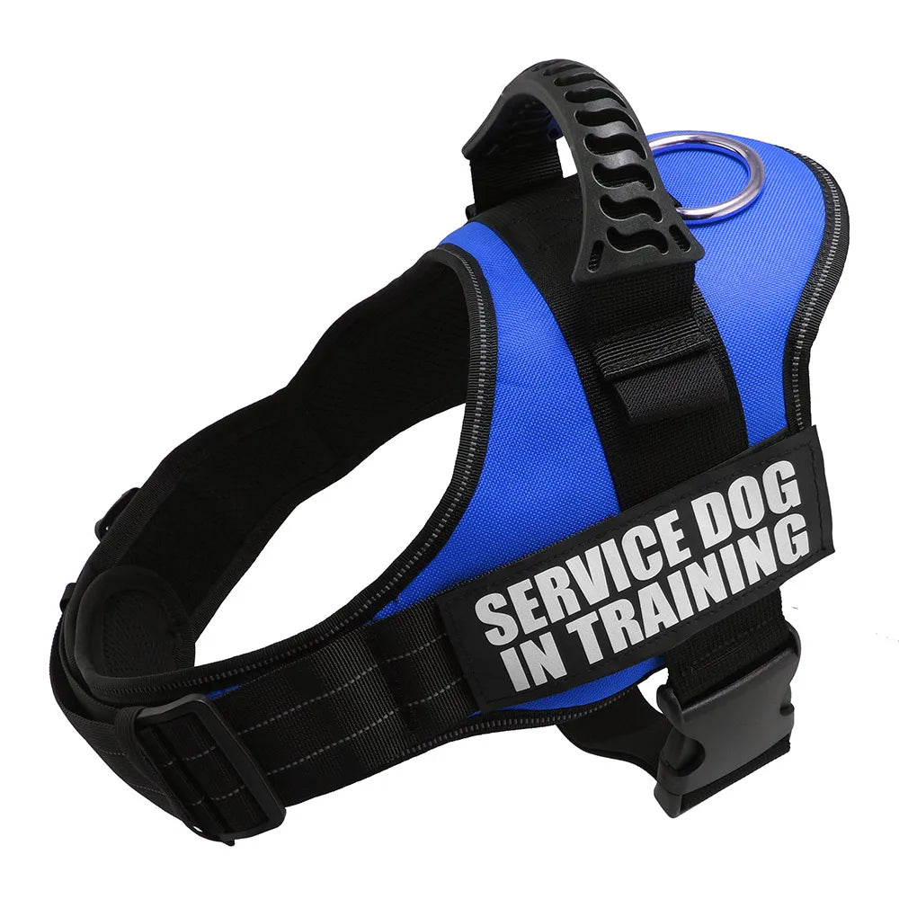 Zoomie Pawz Service dog training harness