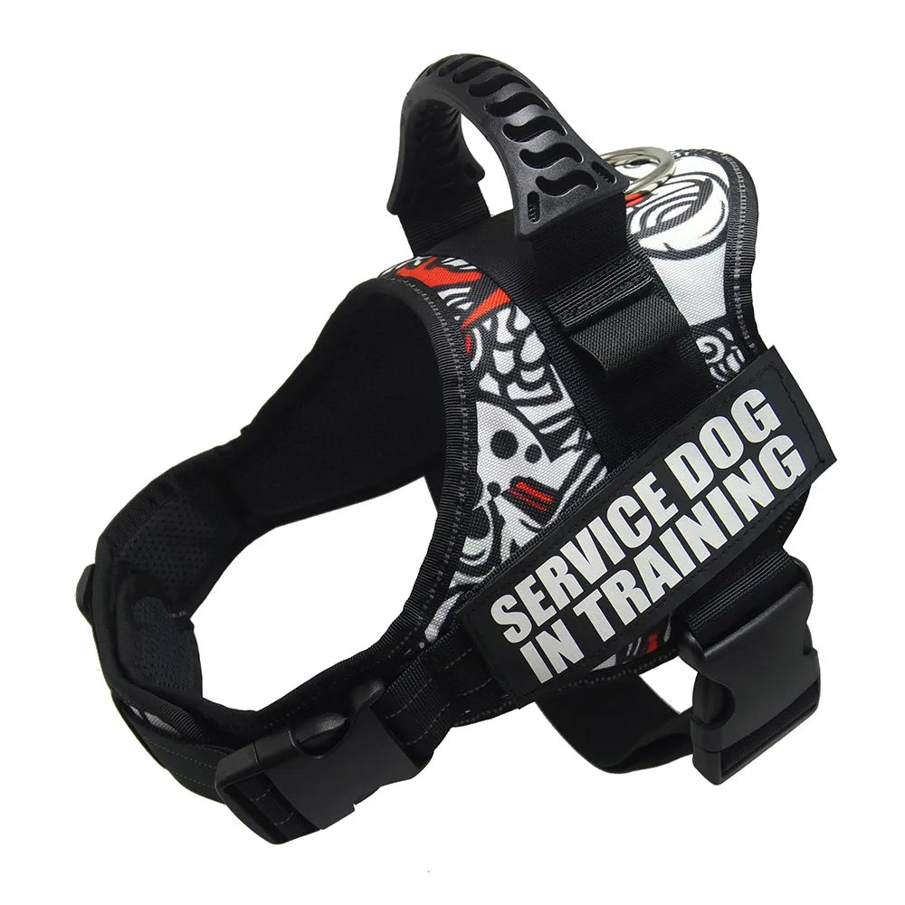 Zoomie Pawz Service dog training harness