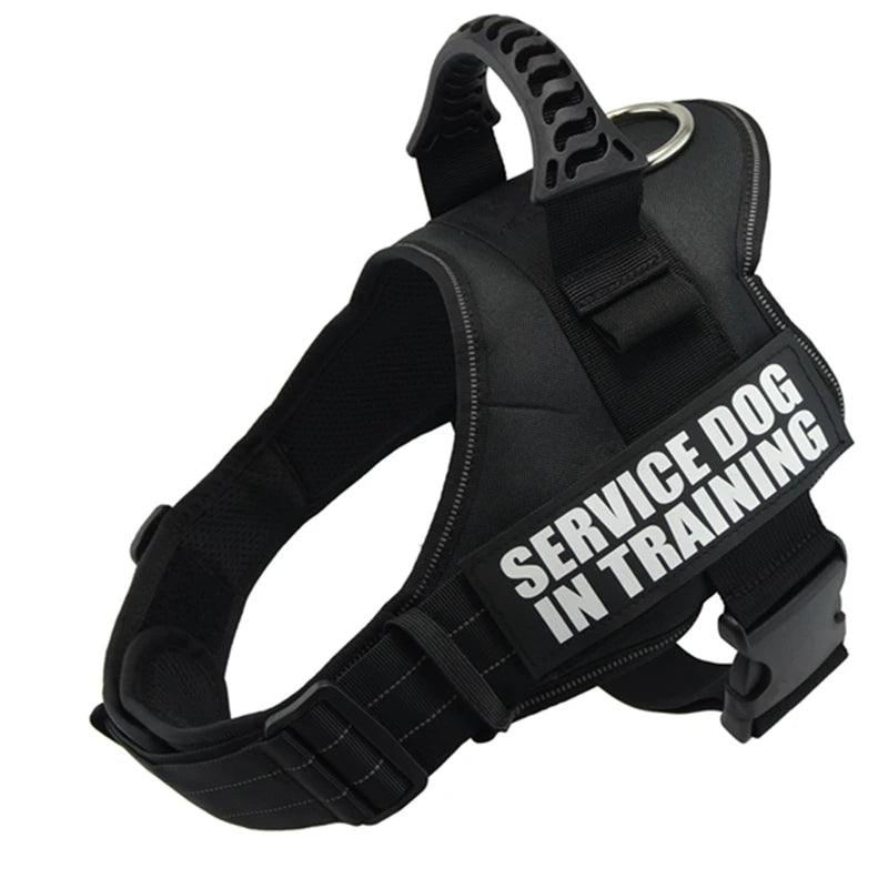 Zoomie Pawz Service dog training harness