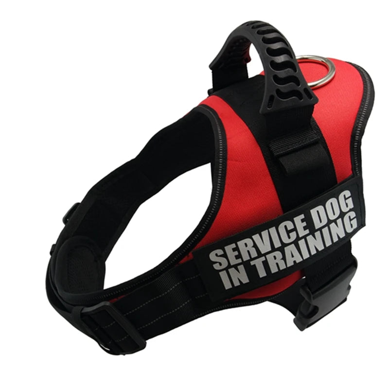Zoomie Pawz Service Dog Training Harness