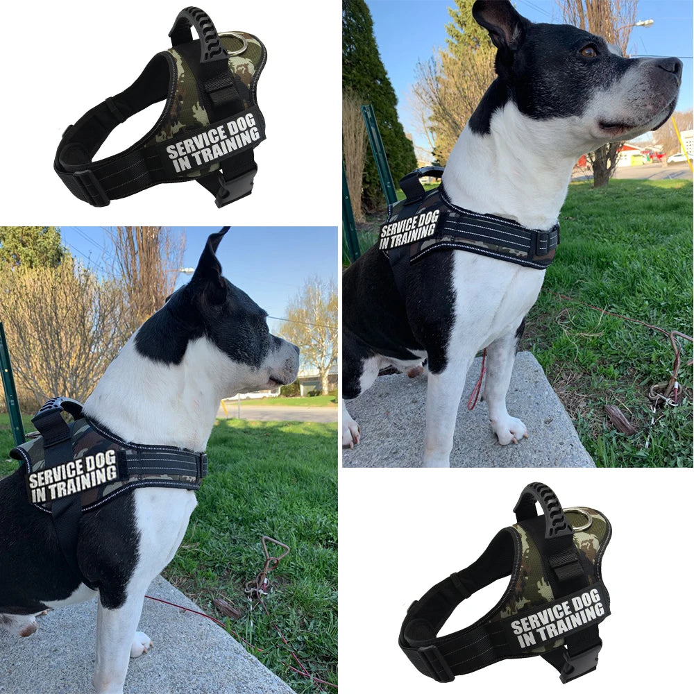 Zoomie Pawz Service Dog Training Harness