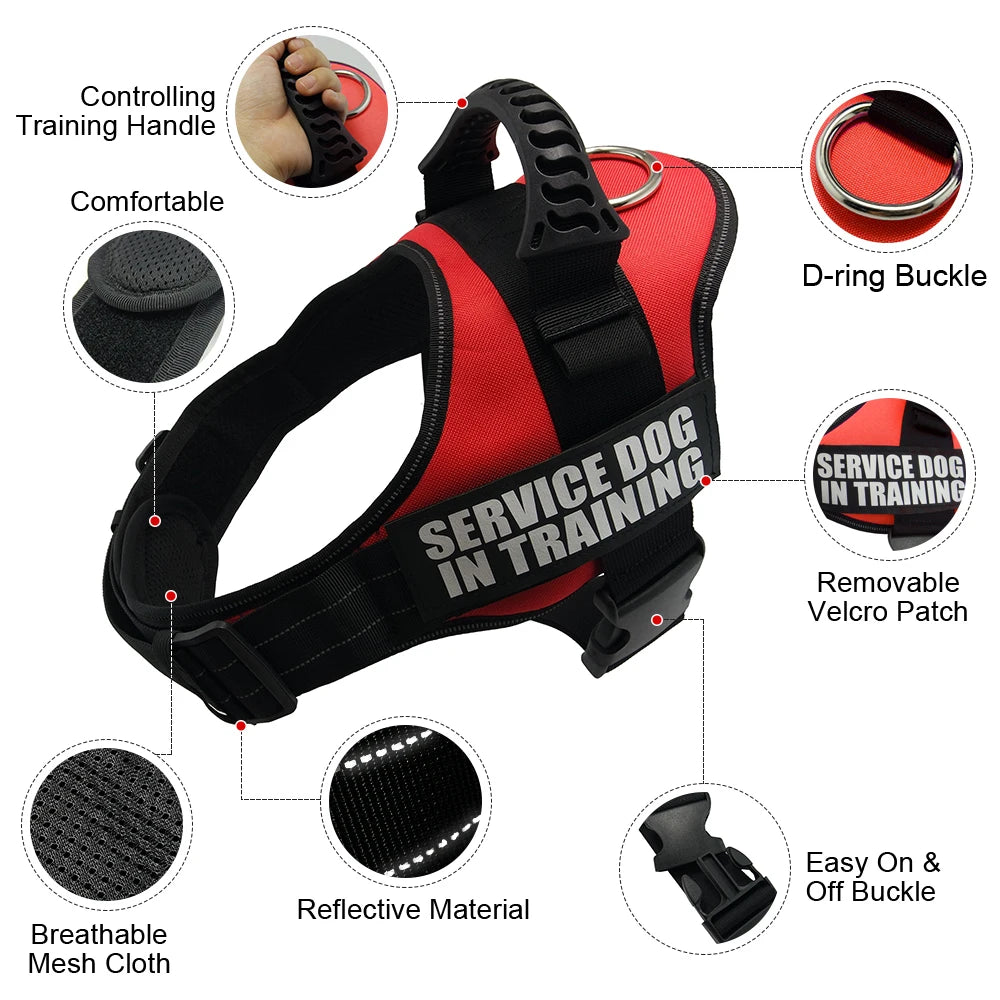 Zoomie Pawz Service Dog Training Harness