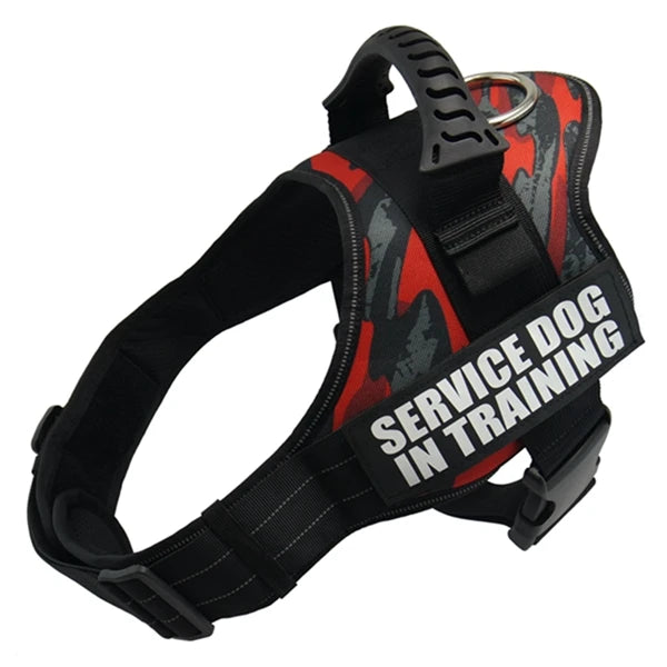Zoomie Pawz Service dog training harness