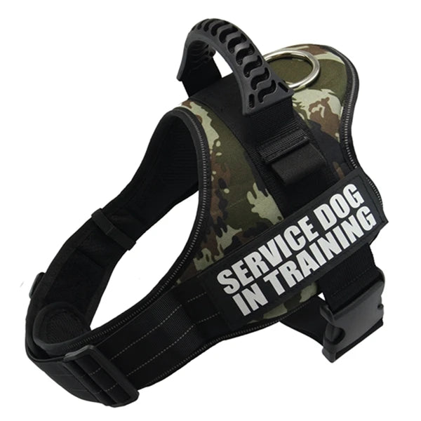 Zoomie Pawz Service dog training harness