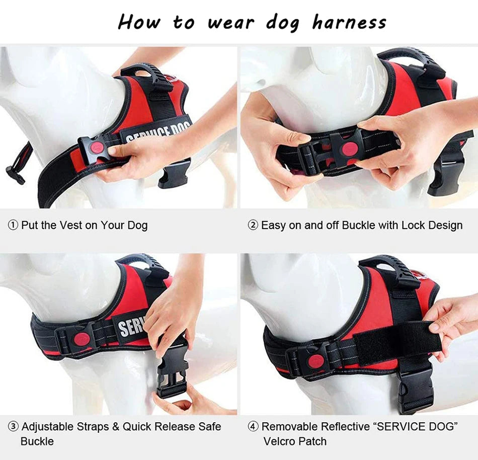 Zoomie Pawz Service Dog Training Harness