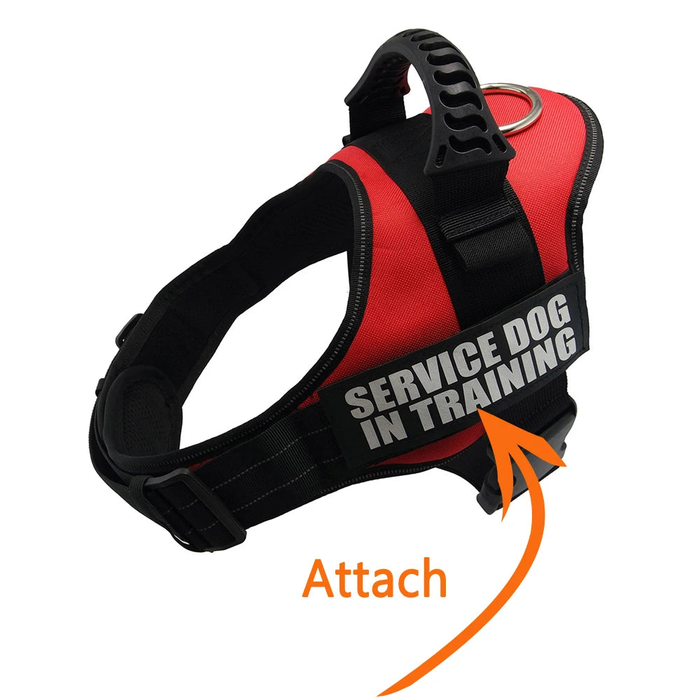 Zoomie Pawz Service Dog Training Harness
