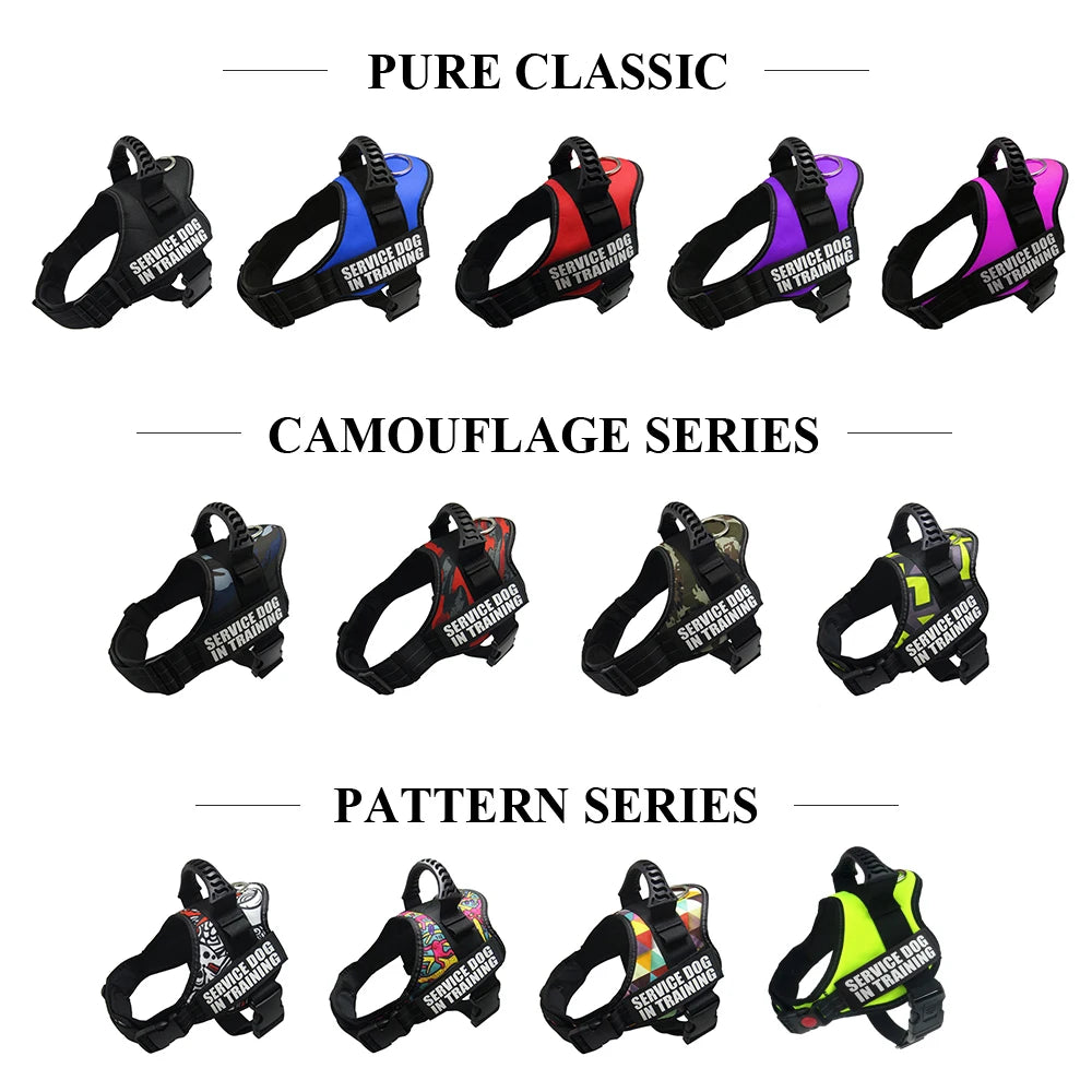 Zoomie Pawz Service Dog Training Harness