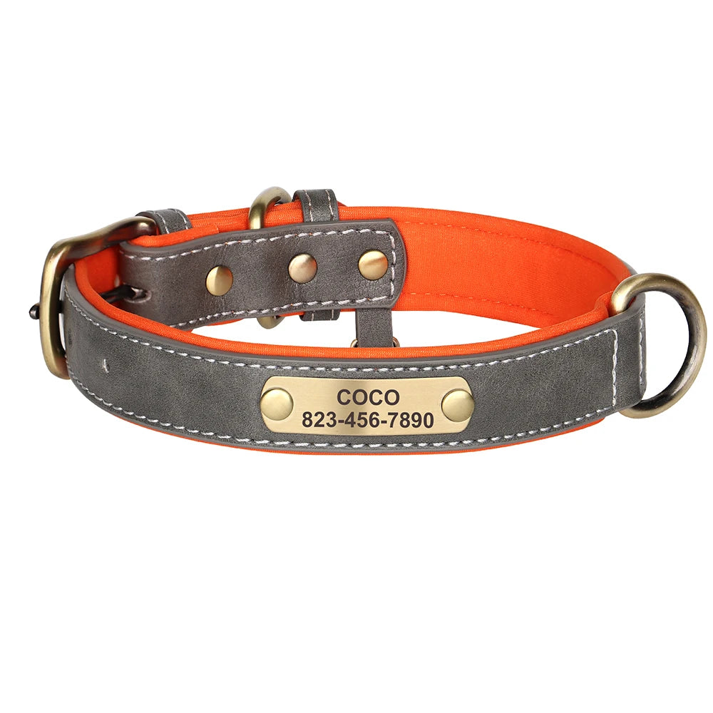 Zoomie Pawz Personalized Leather Dog Collar with Free Engraving