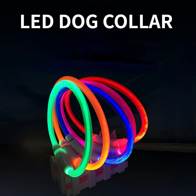 Zoomie Pawz LED Glowing Pet Collar
