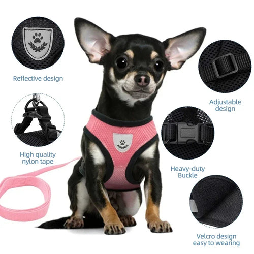 Zoomie Pawz Cat Harness and Leash