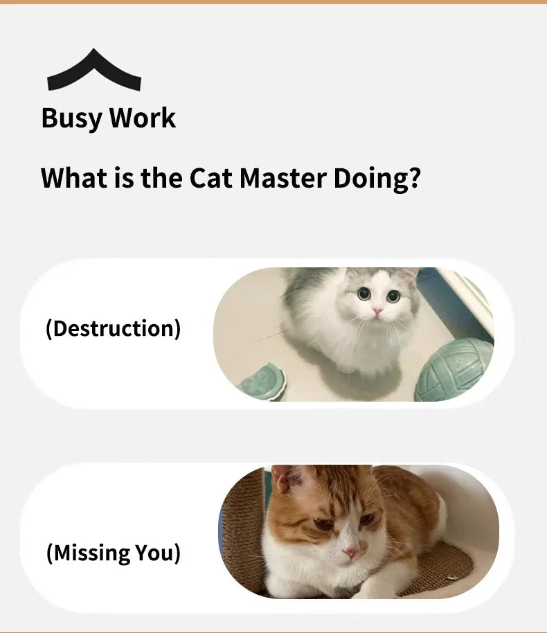 Pet teasing cat ball smart cat toy rolling ball electric cat toy self-hi boredom chug ball