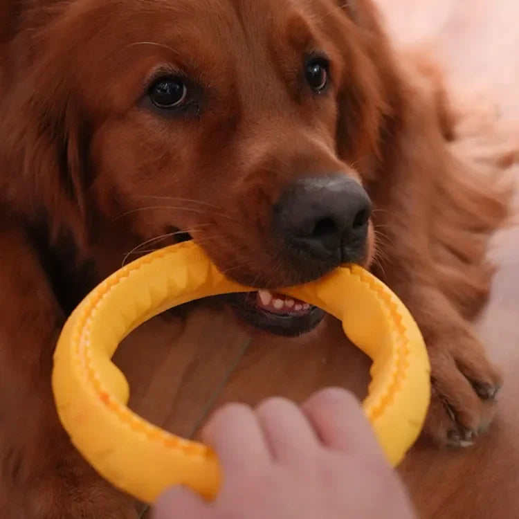 Zoomie Pawz Durable Fly, Fetch, and Float Ring Dog Toy