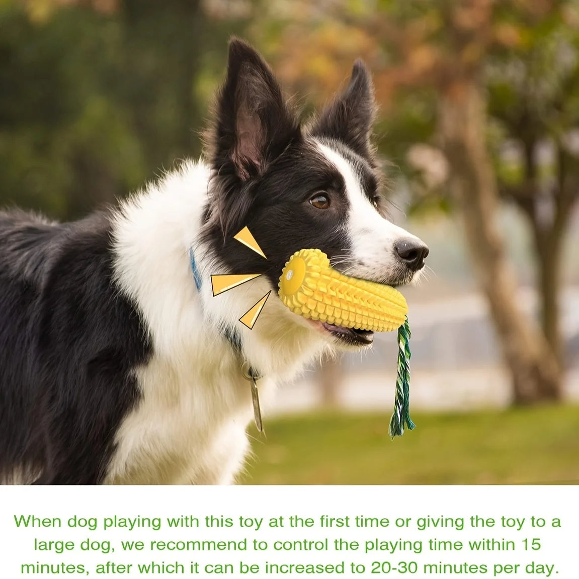 Zoomie Pawz Corn Cob – Shaped Dog Toy