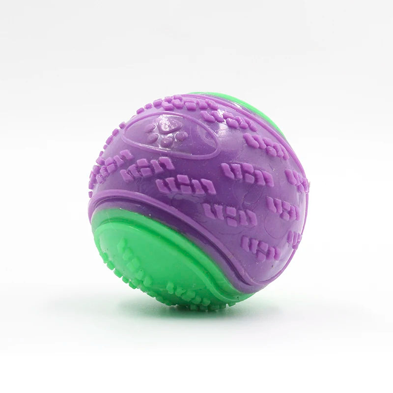Zoomie Pawz Interactive Soft Squeaky Dog Ball