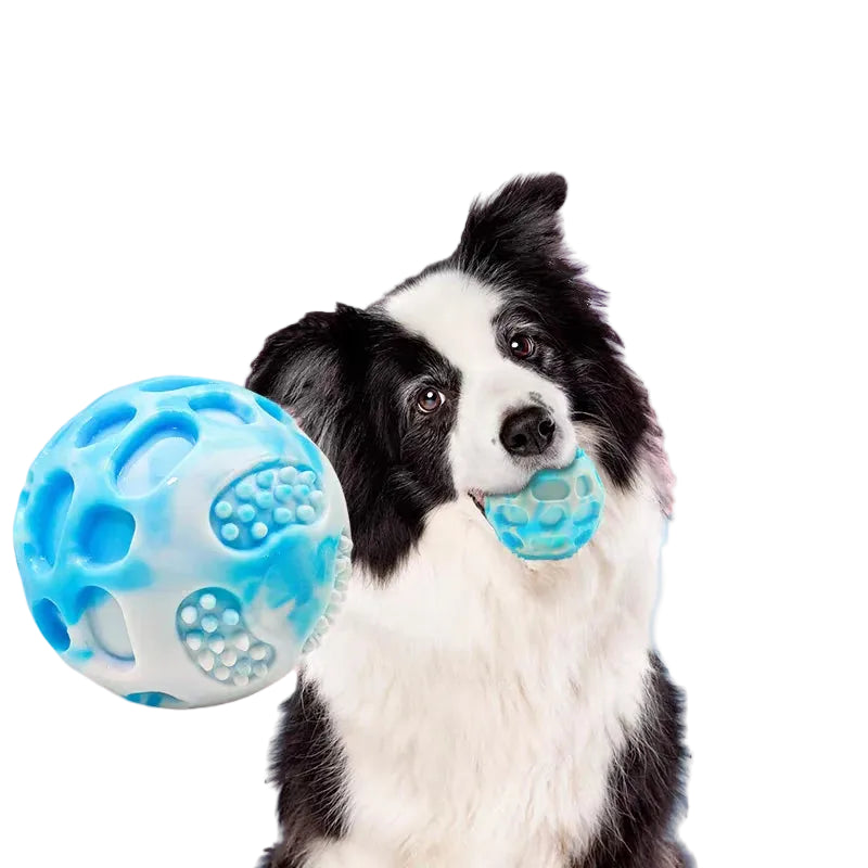 Zoomie Pawz Multi-Colored Rubber Ball