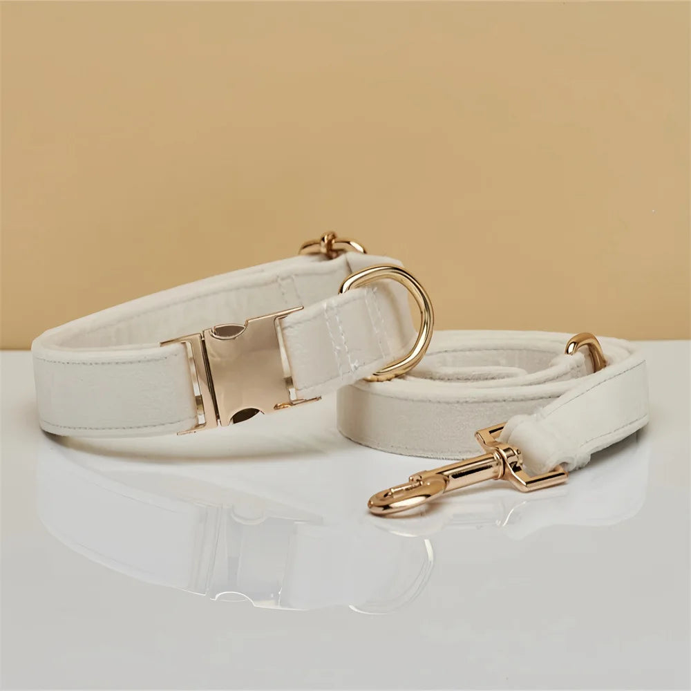 Zoomie Pawz Velvet Personalized Dog Collar and Leash Set