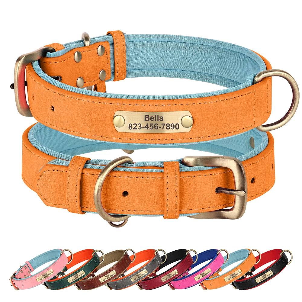 Zoomie Pawz Personalized Leather Dog Collar with Free Engraving