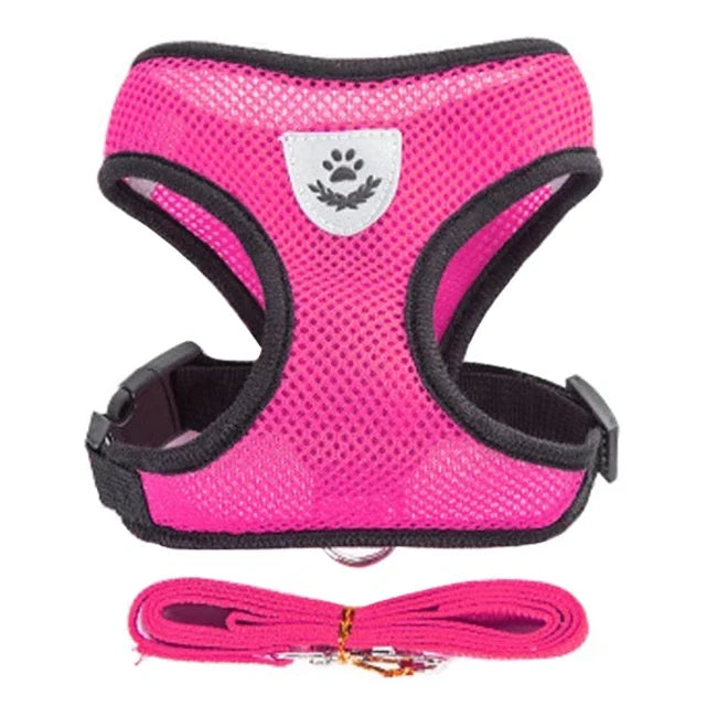 Zoomie Pawz Cat Harness and Leash