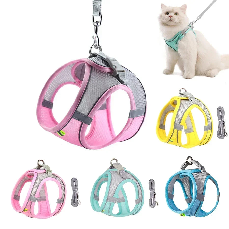 Zoomie Pawz Outdoor Adjustable Harness and Leash for Small Dogs and Cats
