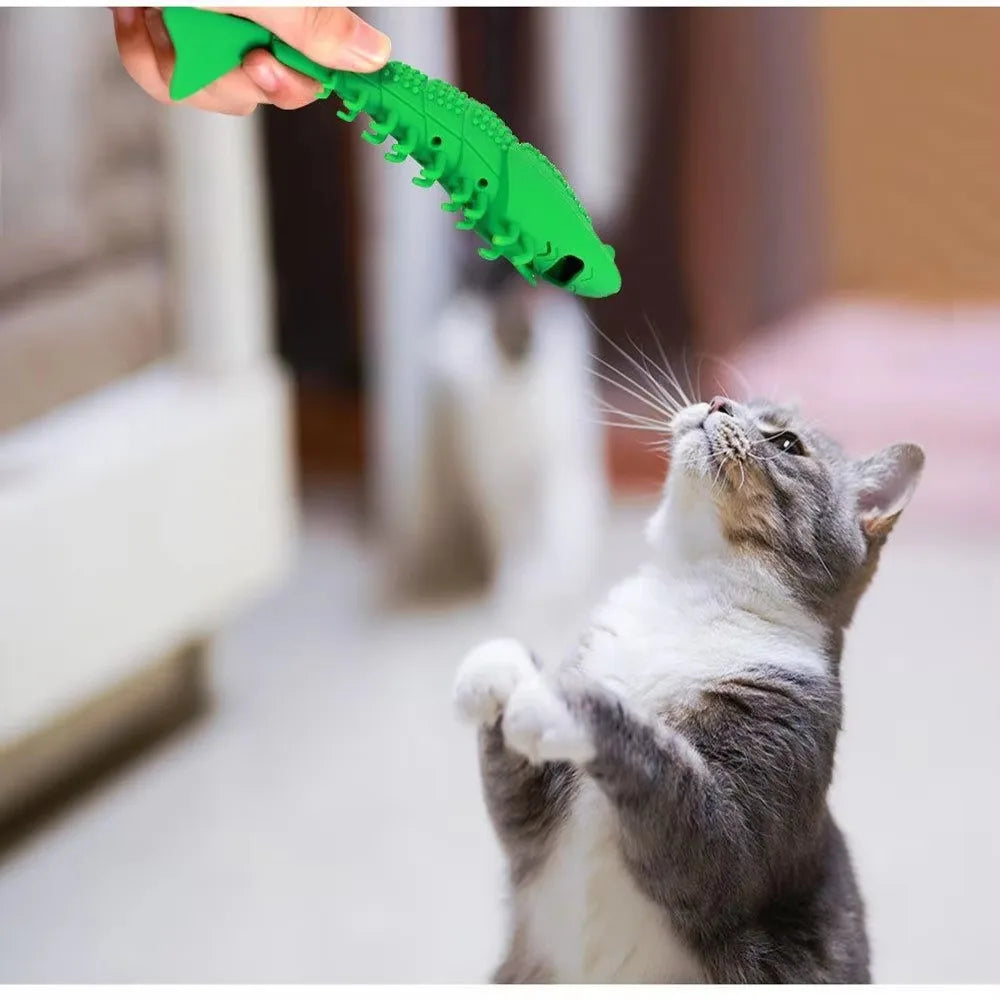 Cat Toothbrush Catnip Toy Kitten Puppy Interactive Games Durable Hard Rubber Dot Cleaning Toothbrush Chew Toys Pet Products