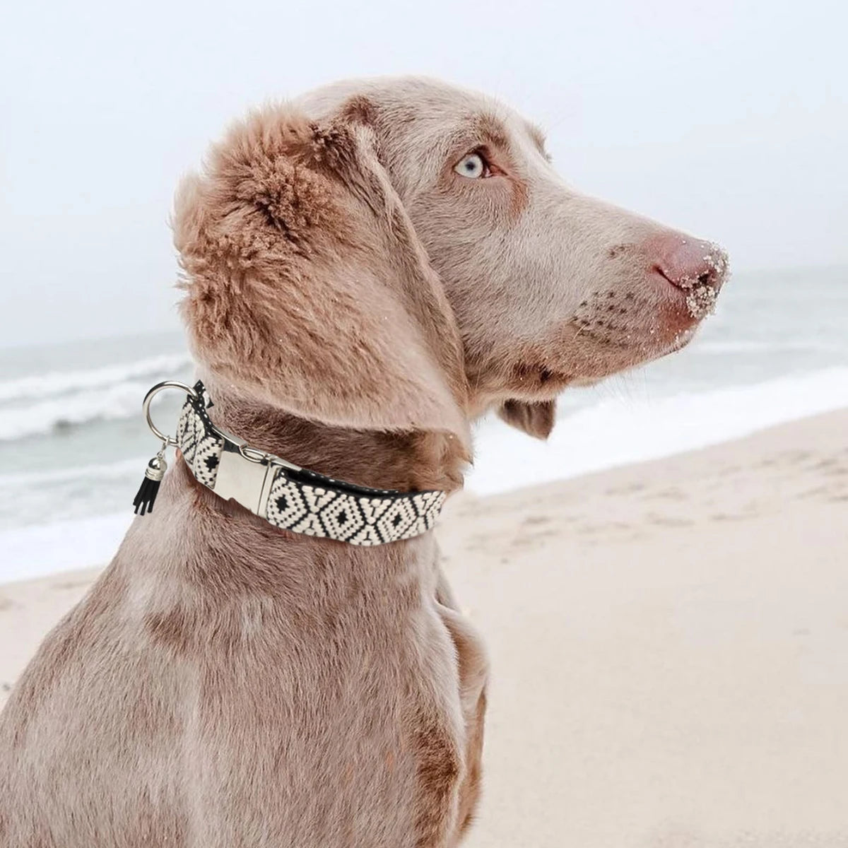 Zoomie Pawz Hand-Woven Diamond Pattern Dog Collar