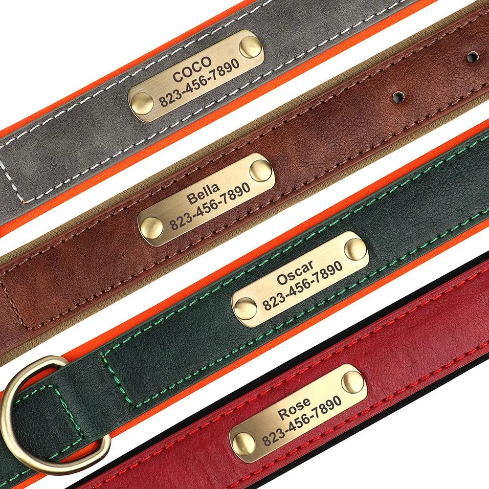 Zoomie Pawz Personalized Leather Dog Collar with Free Engraving