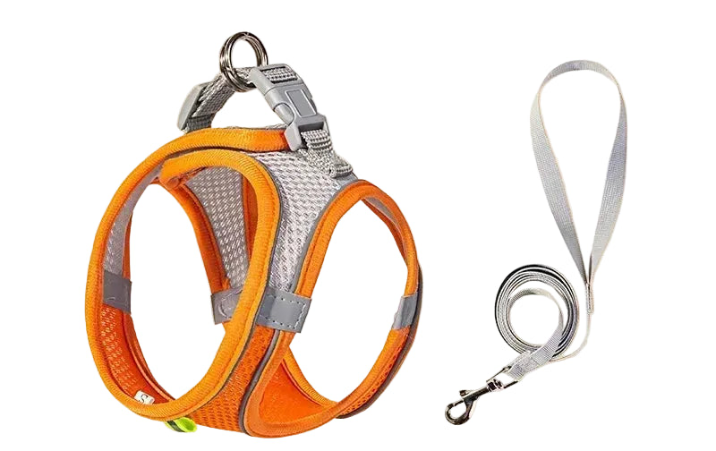Zoomie Pawz Outdoor Adjustable Harness and Leash for Small Dogs and Cats