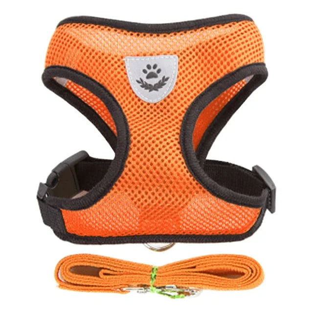 Zoomie Pawz Cat Harness and Leash