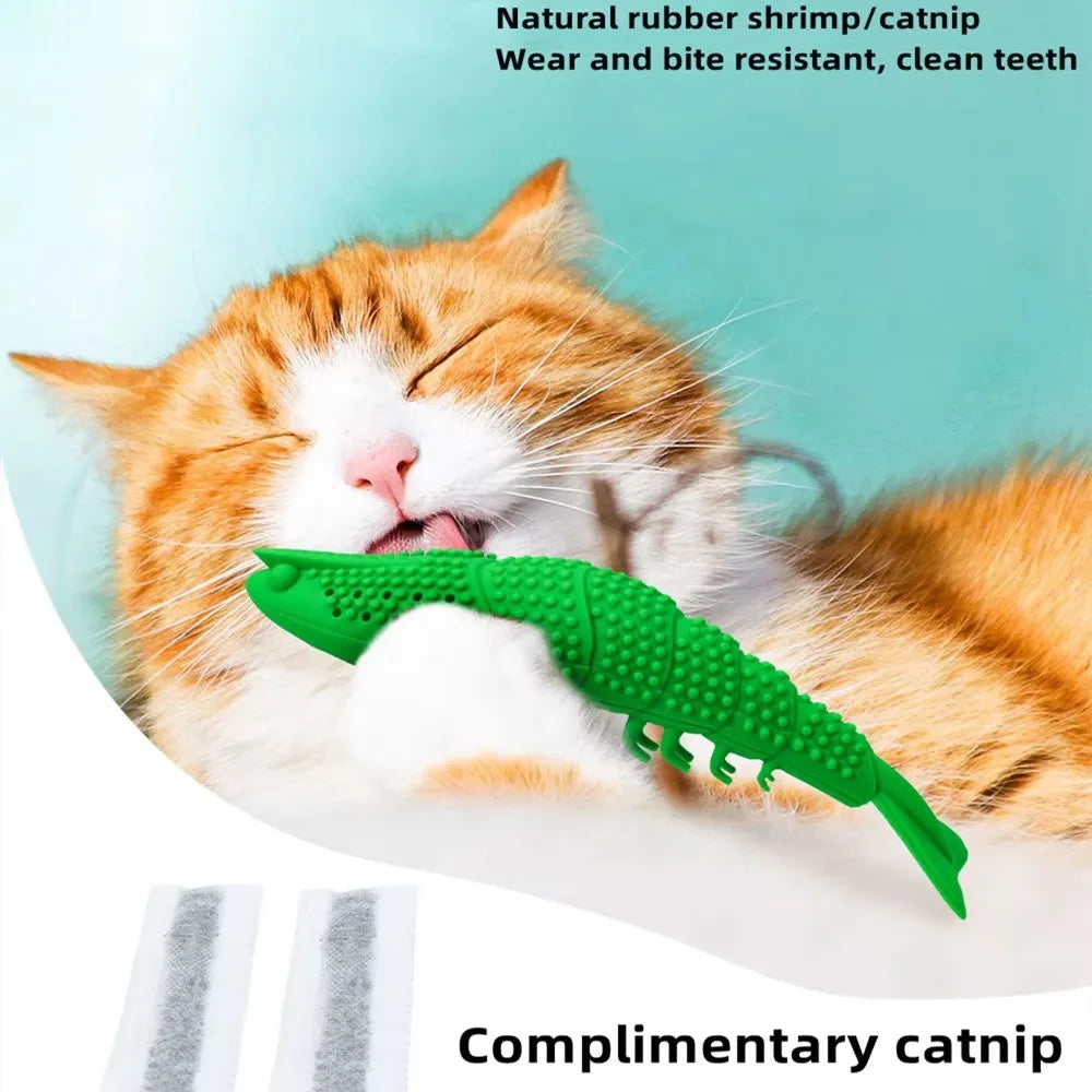 Cat Toothbrush Catnip Toy Kitten Puppy Interactive Games Durable Hard Rubber Dot Cleaning Toothbrush Chew Toys Pet Products