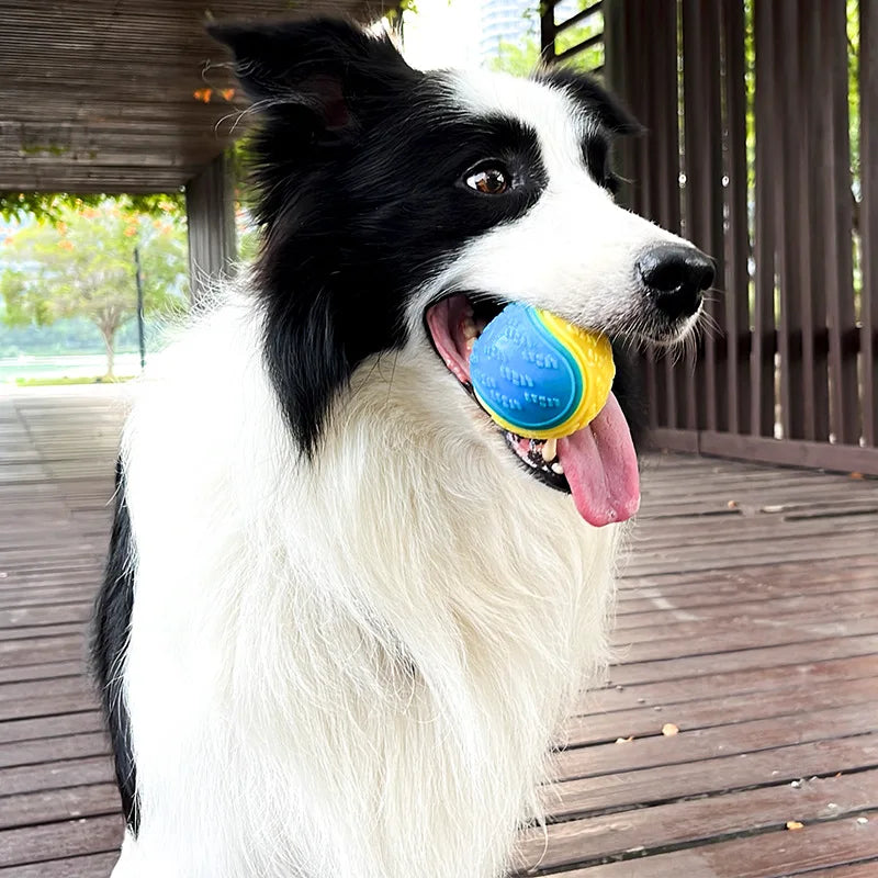 Zoomie Pawz Interactive Soft Squeaky Dog Ball