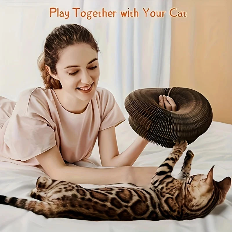 Interactive Cat Scratcher Toy - Fun Teaser & Scratch Board. Durable, Encourages Natural Play. Perfect Gift for Cats! Shop Now.