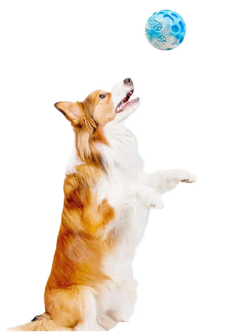 Zoomie Pawz Multi-Colored Rubber Ball