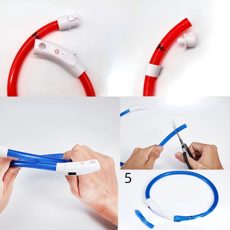 Zoomie Pawz LED Glowing Pet Collar