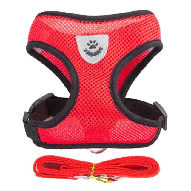 Zoomie Pawz Cat Harness and Leash