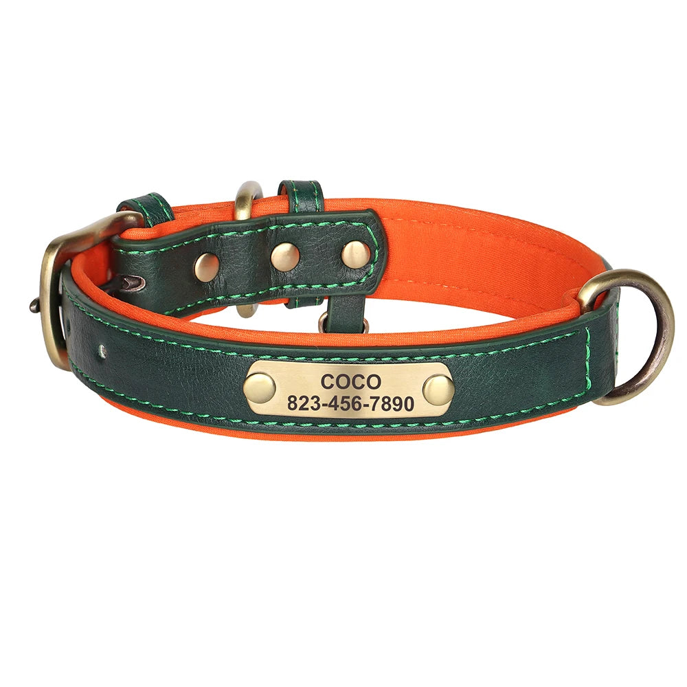 Zoomie Pawz Personalized Leather Dog Collar with Free Engraving