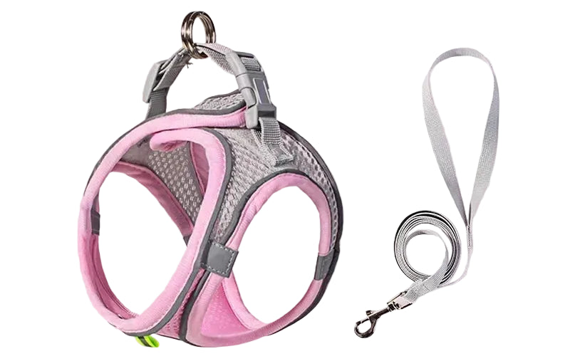 Zoomie Pawz Outdoor Adjustable Harness and Leash for Small Dogs and Cats