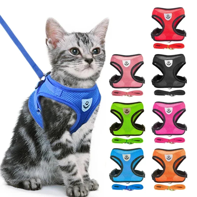 Zoomie Pawz Cat Harness and Leash