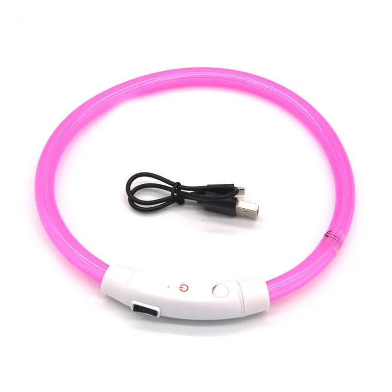 Zoomie Pawz LED Glowing Pet Collar