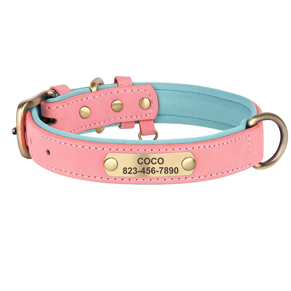 Zoomie Pawz Personalized Leather Dog Collar with Free Engraving