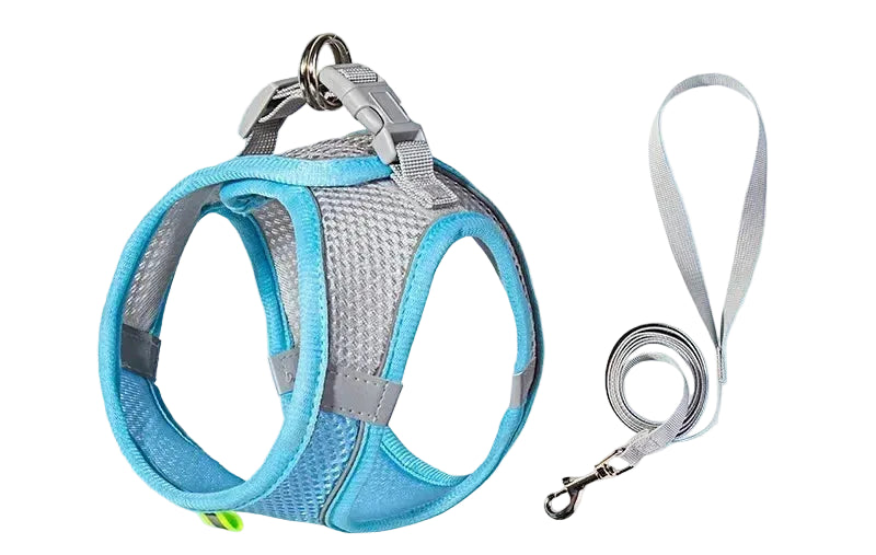 Zoomie Pawz Outdoor Adjustable Harness and Leash for Small Dogs and Cats