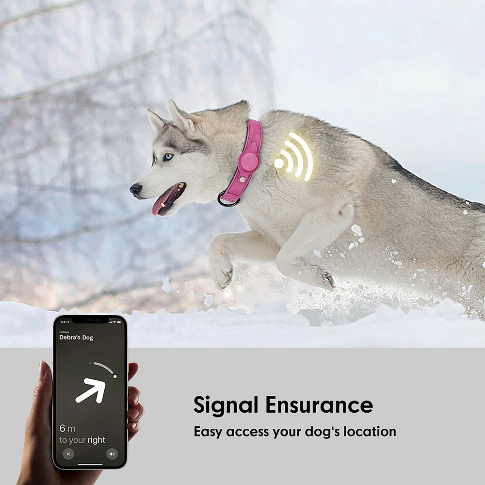 Zoomie Pawz Leather Anti-lost Tag Dog Collar