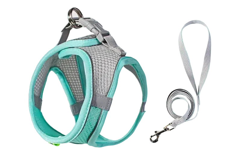 Zoomie Pawz Outdoor Adjustable Harness and Leash for Small Dogs and Cats