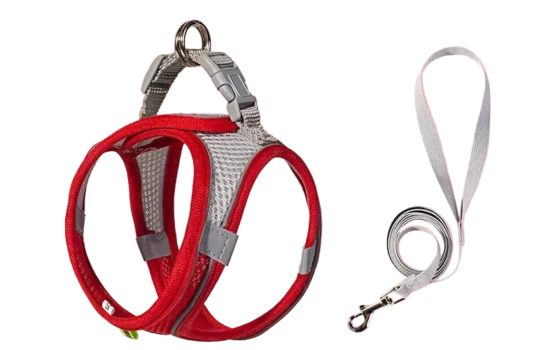 Zoomie Pawz Outdoor Adjustable Harness and Leash for Small Dogs and Cats