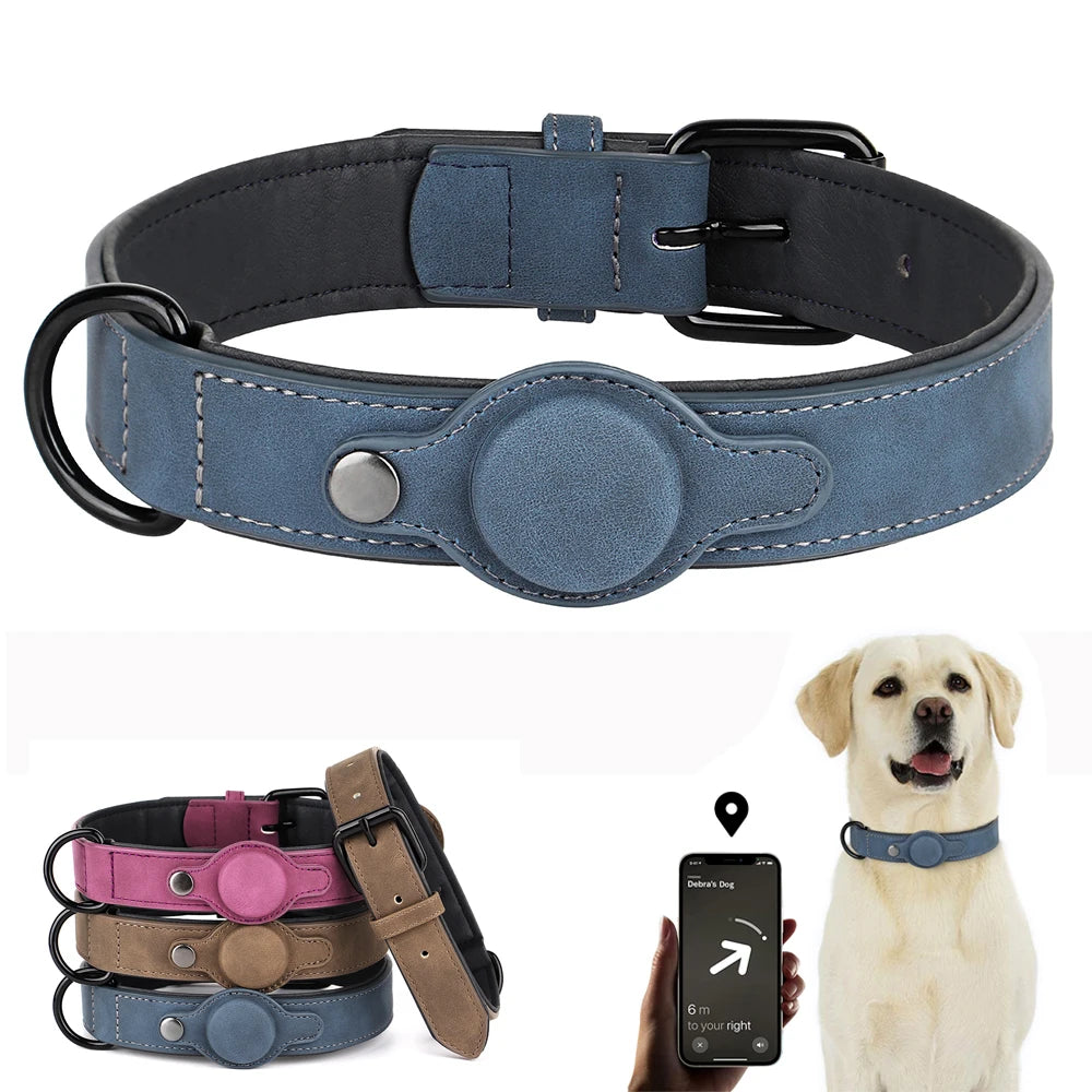 Zoomie Pawz Leather Anti-lost Tag Dog Collar