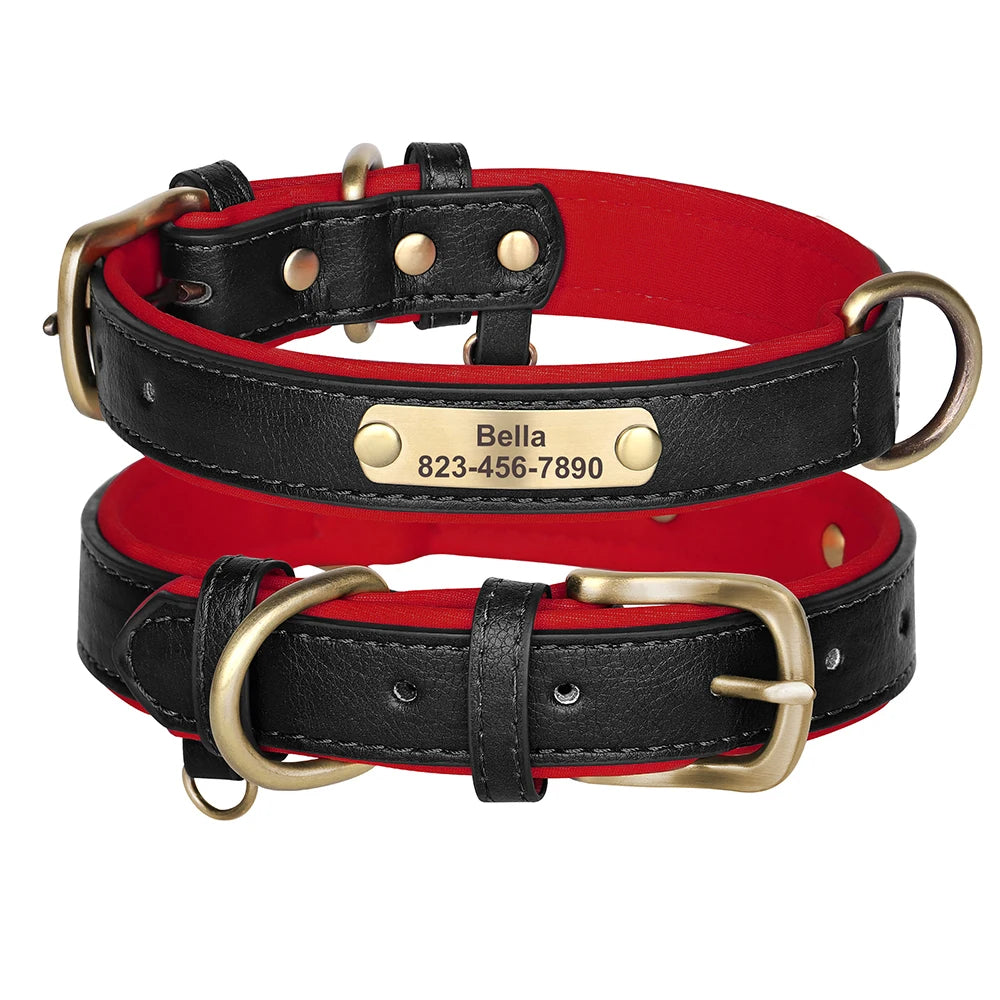 Zoomie Pawz Personalized Leather Dog Collar with Free Engraving