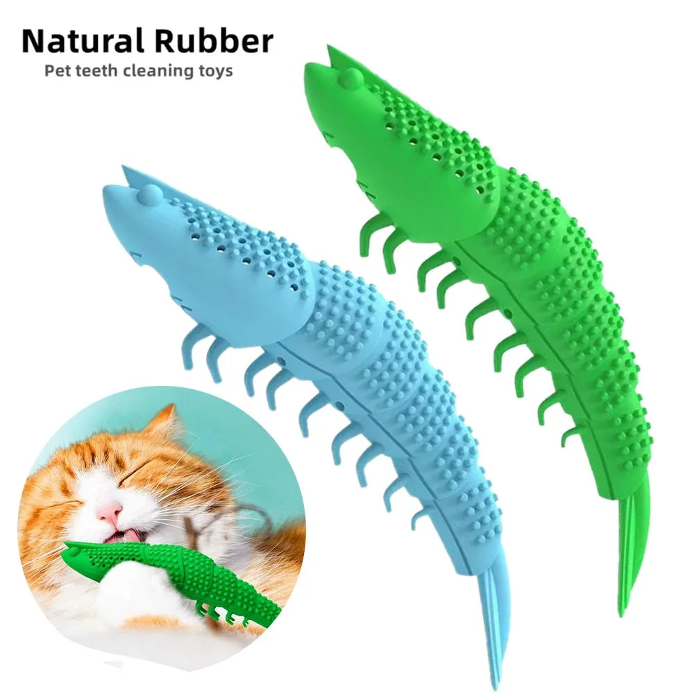 Cat Toothbrush Catnip Toy Kitten Puppy Interactive Games Durable Hard Rubber Dot Cleaning Toothbrush Chew Toys Pet Products